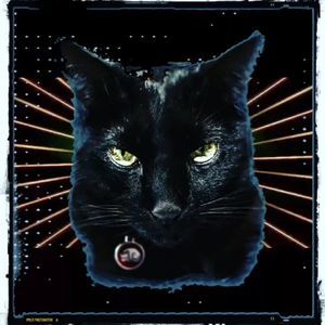 Meet your Posher, Zane